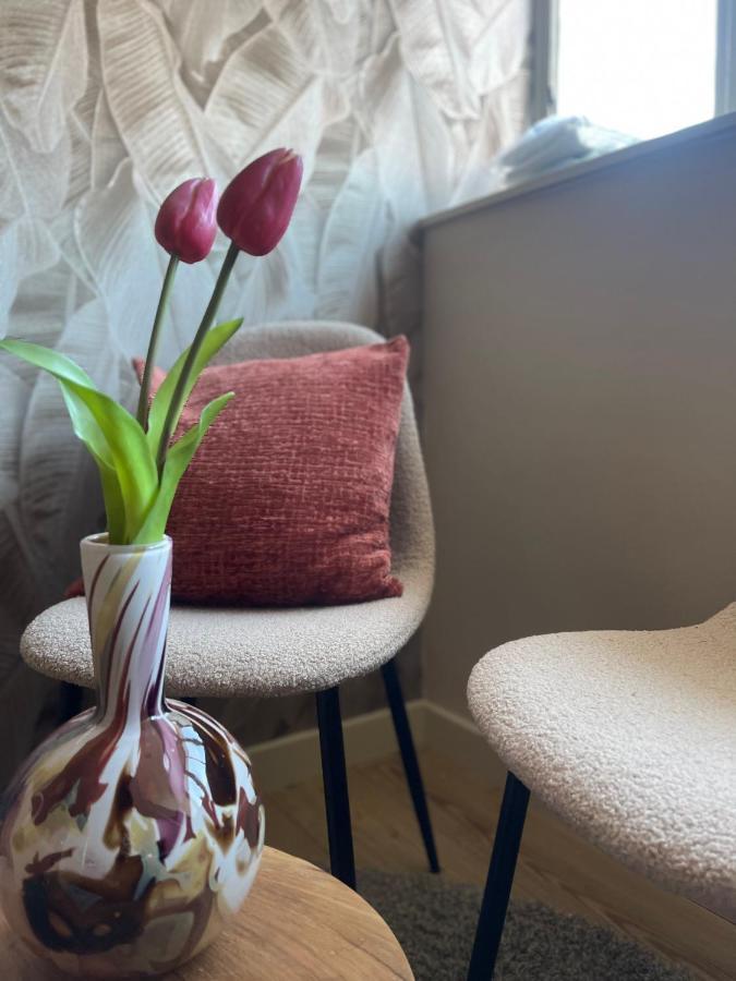 B&B Het Molenhuisje Winschoten - Met Woonkamer & Keuken المظهر الخارجي الصورة