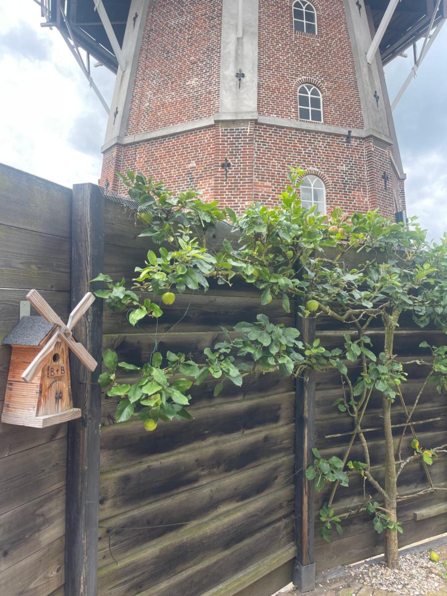 B&B Het Molenhuisje Winschoten - Met Woonkamer & Keuken المظهر الخارجي الصورة